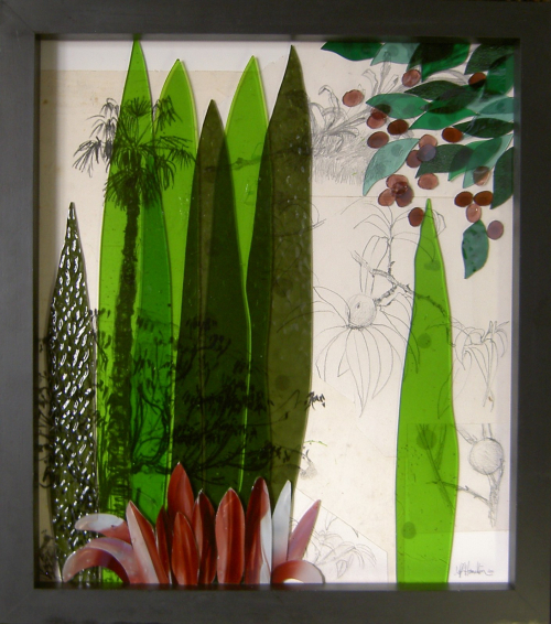 Doreanthes and Syzigium