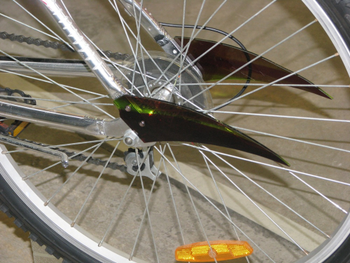 Body Modification (detail)