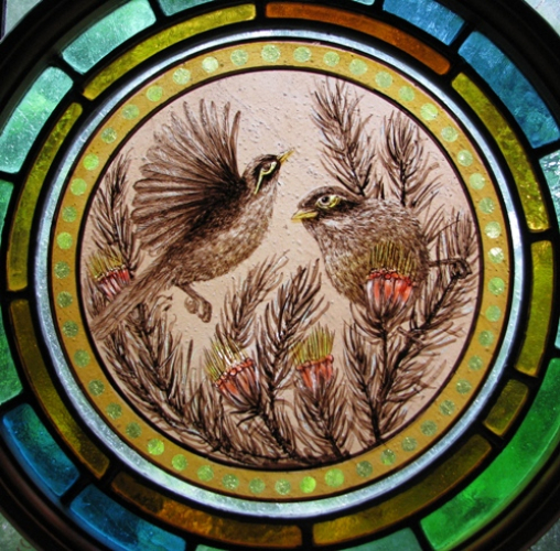 White-faced Honeyeaters